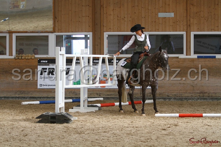 26-ApHC GT_121.jpg